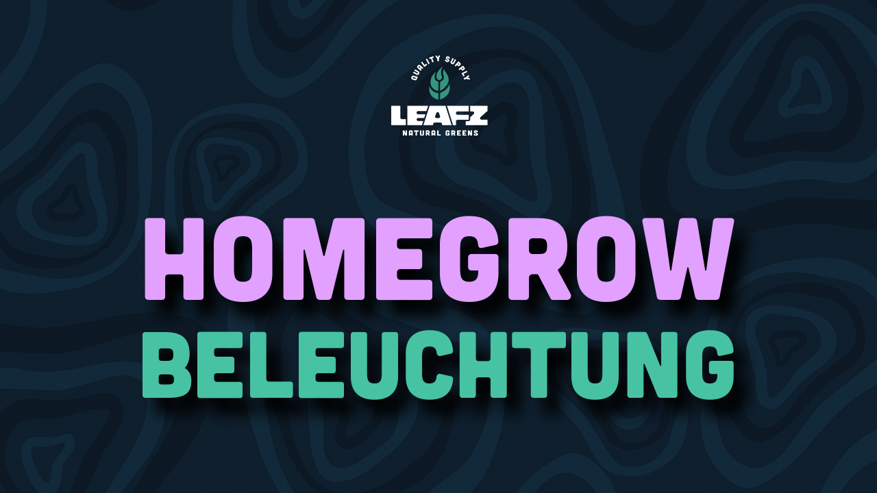 Homegrow Beleuchtung