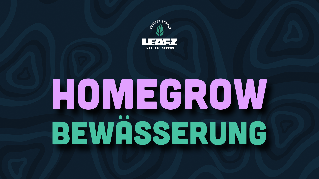 Homegrow Bewässerung und Gießen