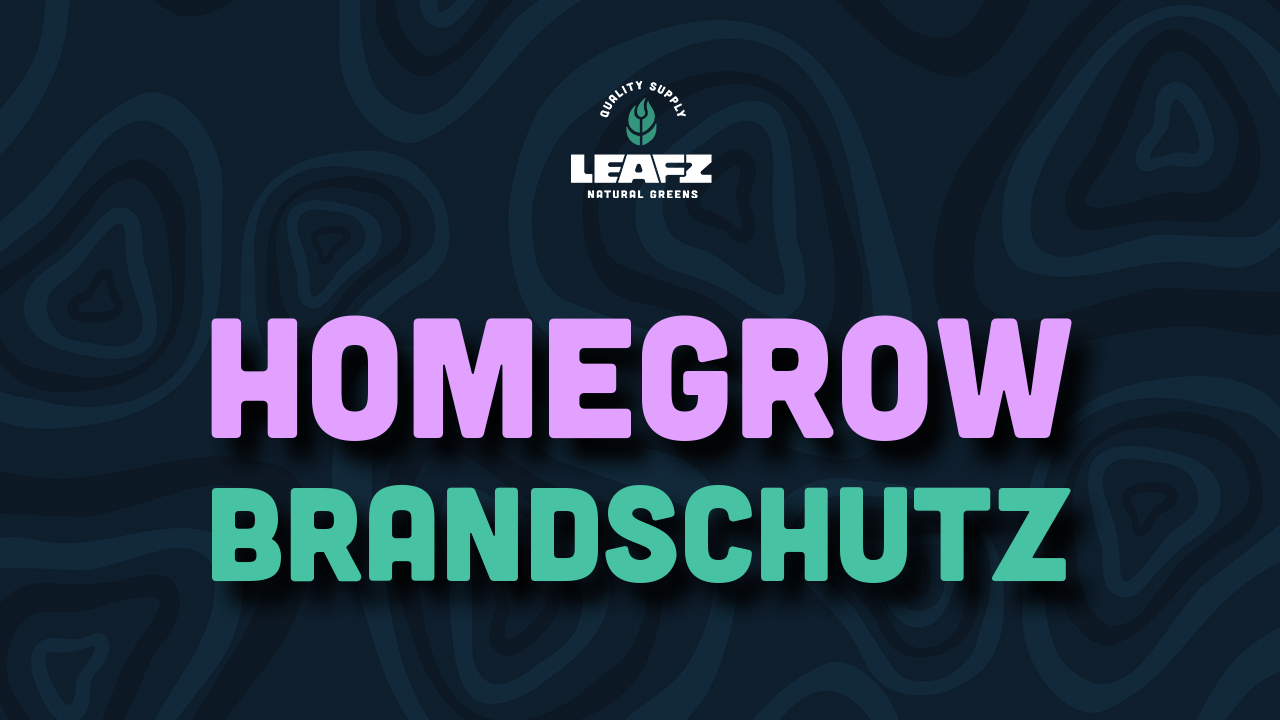 Homegrow Sicherheit & Brandschutz: Essentielle Tipps für risikofreies Cannabis-Anbauen zu Hause