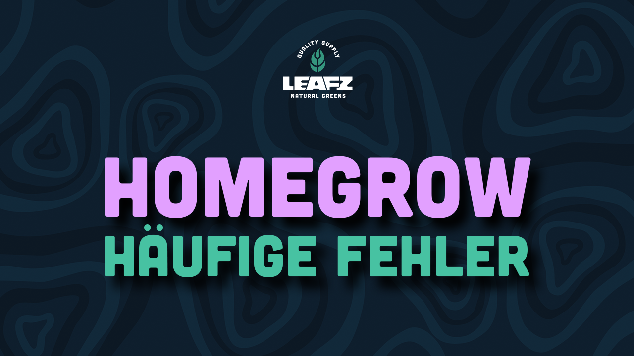 Homegrow Problemlösungen: Die Top 10 Fehler beim Cannabis-Anbau Zuhause und wie man sie vermeidet