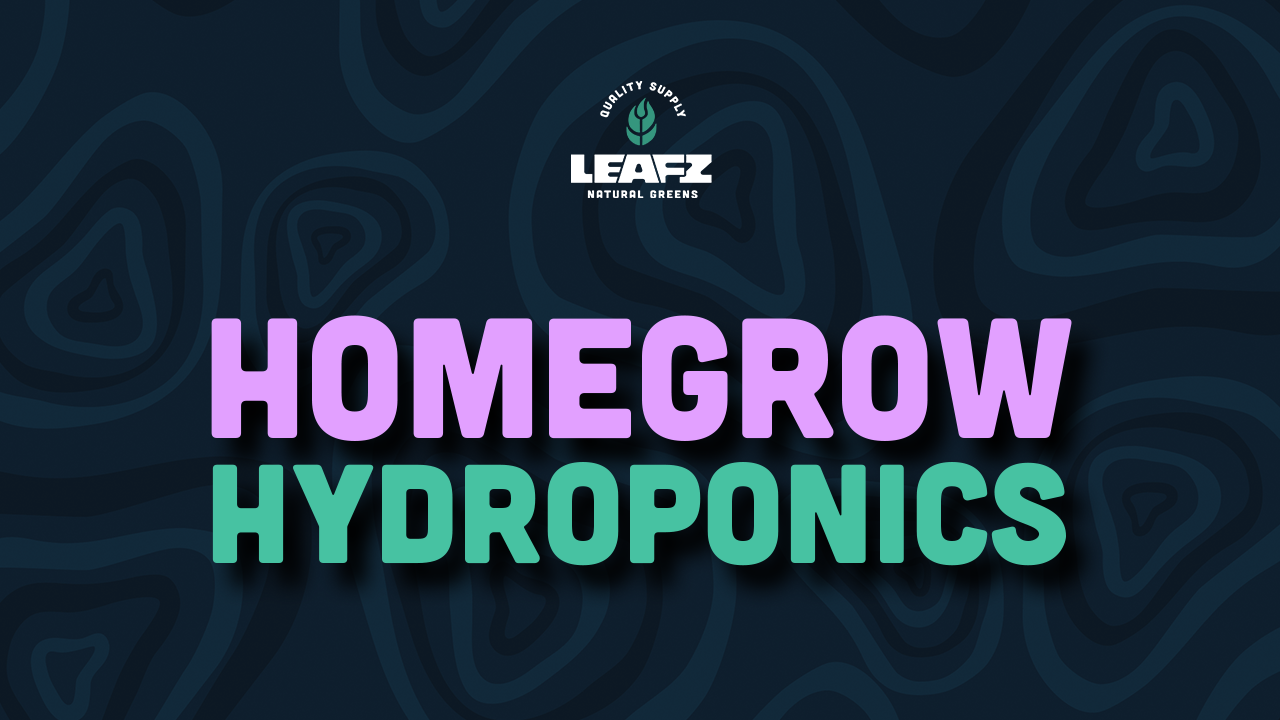 Homegrow Hydroponik: Revolutioniere Deinen Cannabis-Anbau mit High-Tech-Wasserkultur
