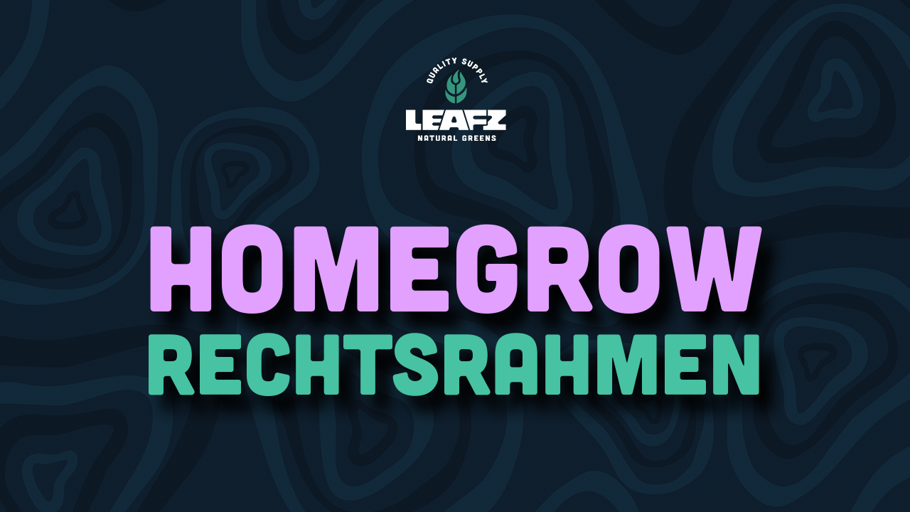 Homegrow Gesetze und Legalität in Deutschland