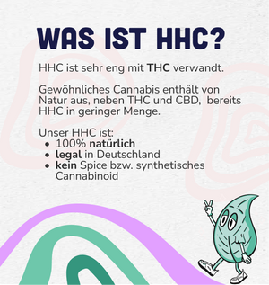 leafz.de - Ein Infoblatt mit einer Erklärung zu der Frage Was ist HHC?