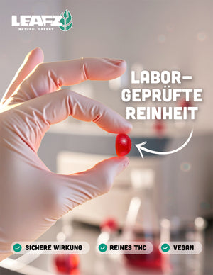 THC Spacejellies de espectro completo | 100 mg de THC